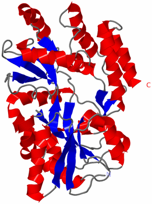 Image NMR Structure - model 1