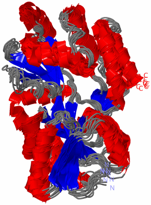 Image NMR Structure - all models