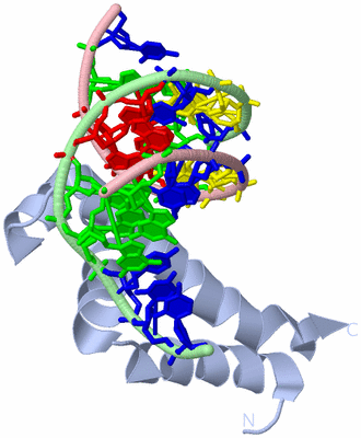 Image Biological Unit 1