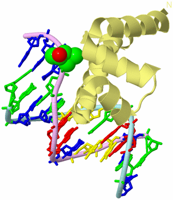 Image Biological Unit 2