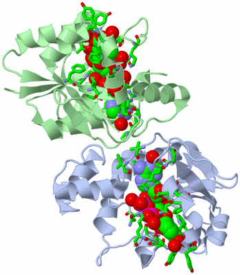 Image Asym./Biol. Unit - sites