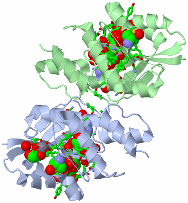 Image Asym./Biol. Unit - sites