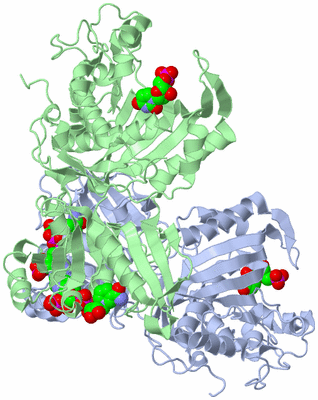 Image Biological Unit 1