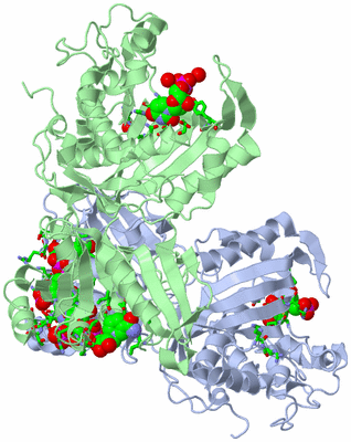 Image Biol. Unit 1 - sites