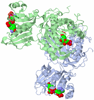 Image Biological Unit 2