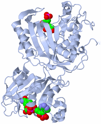 Image Biological Unit 3