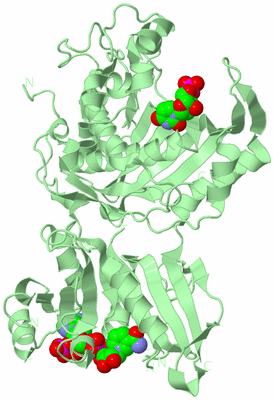 Image Biological Unit 4