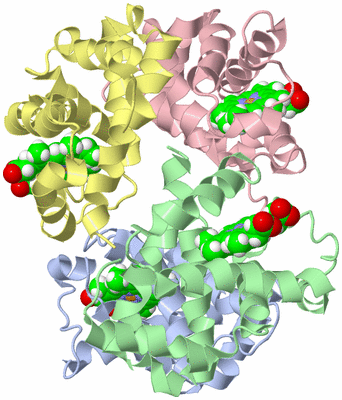 Image NMR Structure - model 1