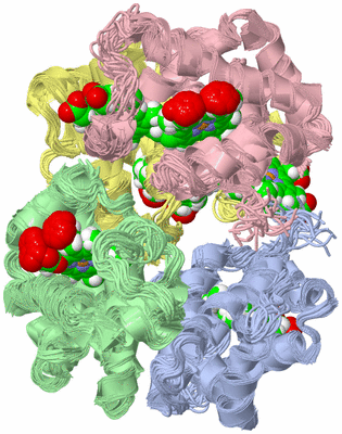 Image NMR Structure - all models