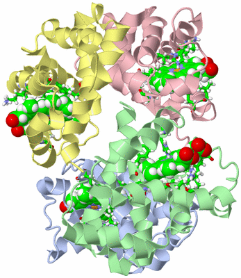 Image NMR Structure - model 1, sites