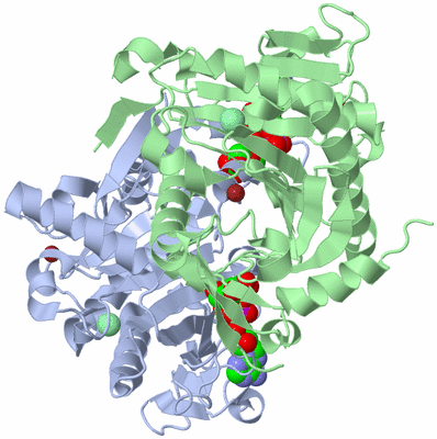 Image Asym./Biol. Unit