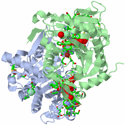 Image Asym./Biol. Unit - sites