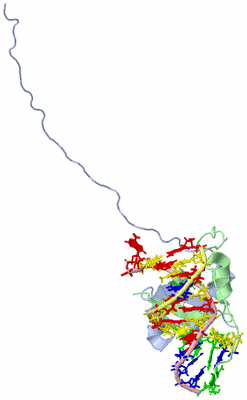 Image NMR Structure - model 1