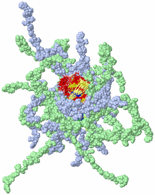 Image NMR Structure - all models