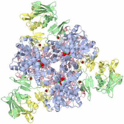 Image Biological Unit 1