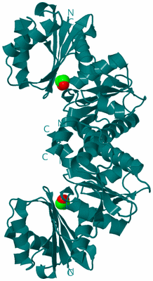 Image Biological Unit 1