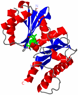 Image Asym. Unit - sites