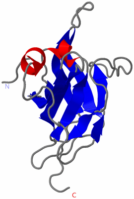 Image NMR Structure - model 1