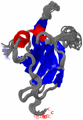 Image NMR Structure - all models