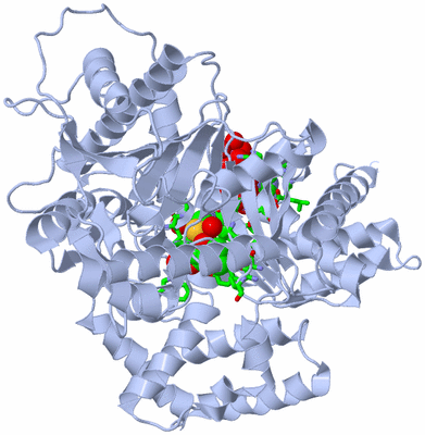 Image Biol. Unit 1 - sites