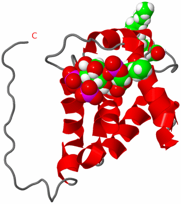 Image NMR Structure - model 1