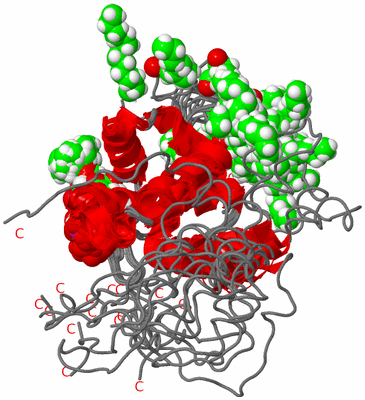 Image NMR Structure - all models