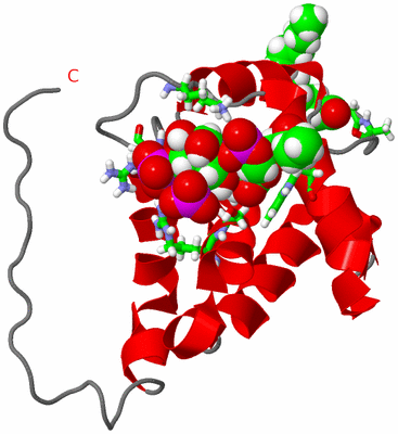 Image NMR Structure - model 1, sites