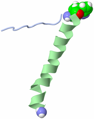 Image NMR Structure - model 1