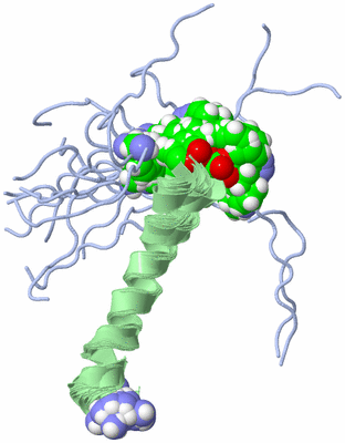 Image NMR Structure - all models