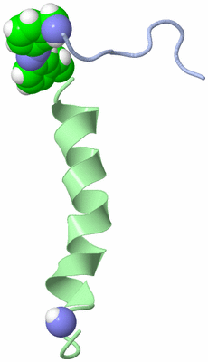 Image NMR Structure - model 1