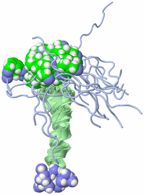 Image NMR Structure - all models