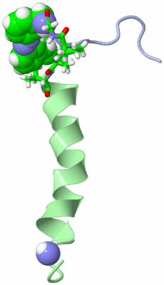 Image NMR Structure - model 1, sites