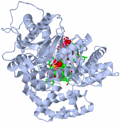 Image Biol. Unit 1 - sites