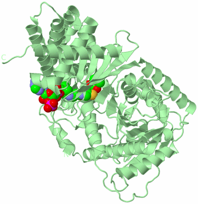 Image Biological Unit 2