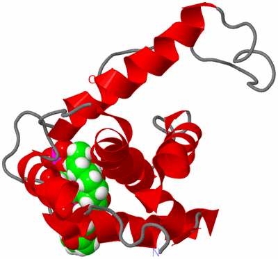 Image NMR Structure - model 1