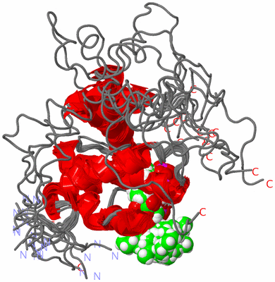 Image NMR Structure - all models