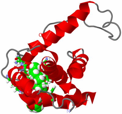 Image NMR Structure - model 1, sites