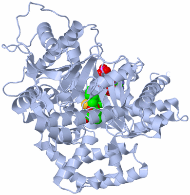 Image Biological Unit 1