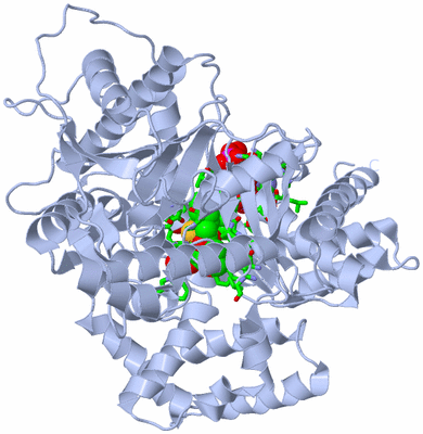 Image Biol. Unit 1 - sites