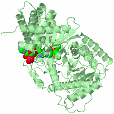 Image Biological Unit 2