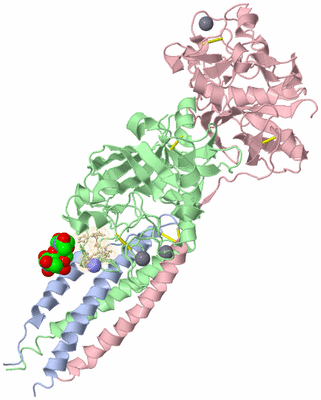 Image Biological Unit 1