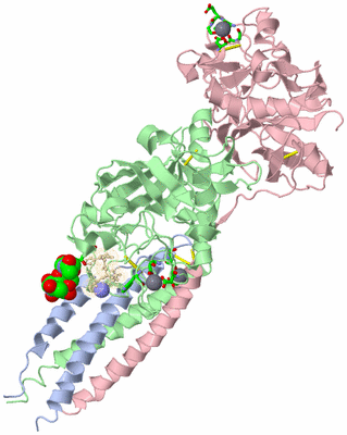 Image Biol. Unit 1 - sites