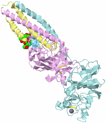 Image Biological Unit 2