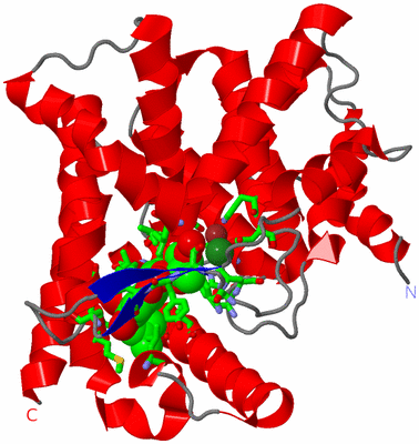 Image Asym./Biol. Unit - sites