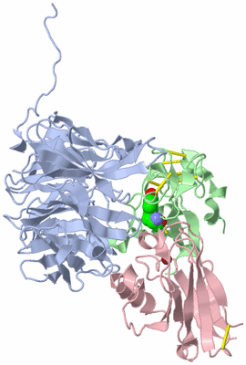 Image Biological Unit 1