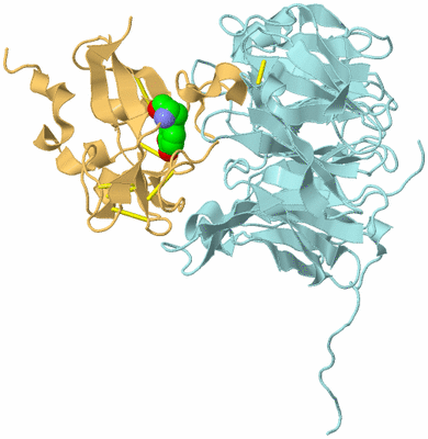 Image Biological Unit 3