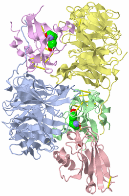 Image Biological Unit 5