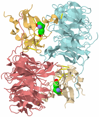 Image Biological Unit 6