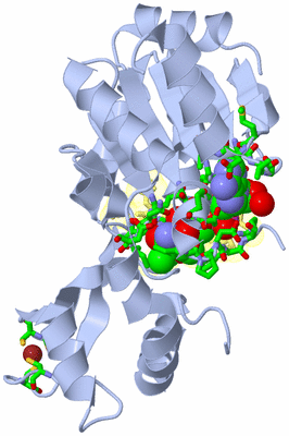 Image Asym./Biol. Unit - sites