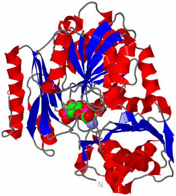 Image Asym./Biol. Unit